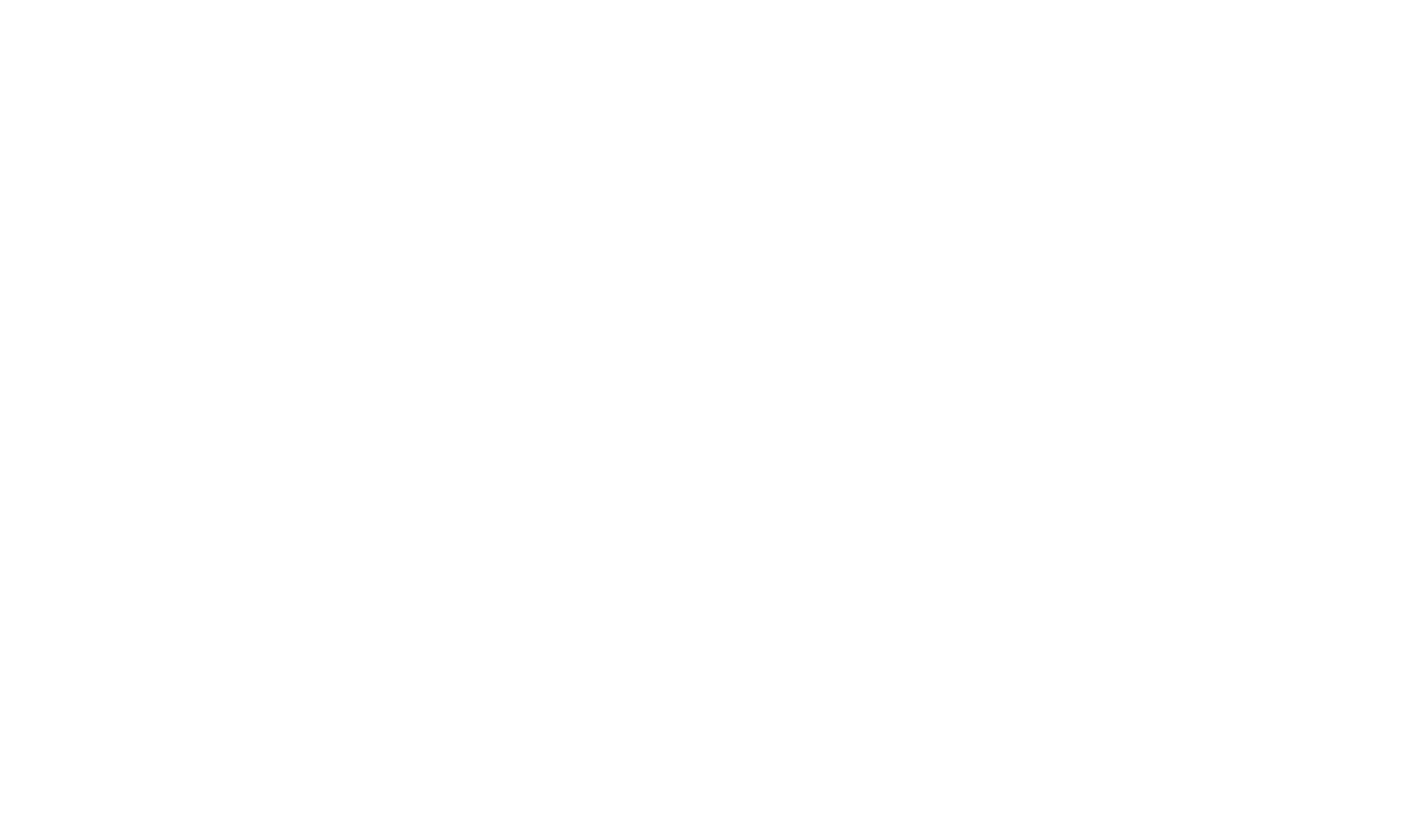 white_logo_transparent_background.png